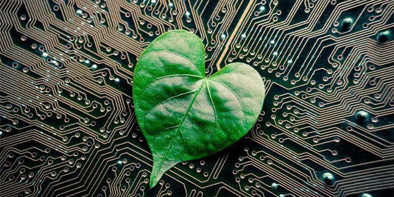 Klimaneutrale Rechenzentren Digital Chiefs - So funktionieren klimaneutrale Rechenzentren